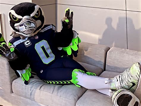 Seattle Seahawks mascots crash